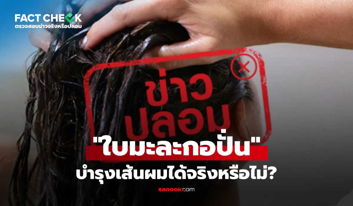 ใบมะละกอปั่นหมักผม ช่วยบำรุงเส้นผมและขจัดรังแคหรือไม่