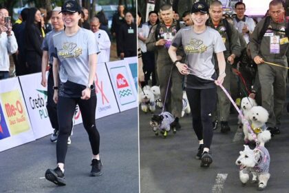 สมเด็จพระนางเจ้าฯ พระบรมราชินี ทรงร่วมเดินกับสุนัขหลวงวินเทอร์ในกิจกรรม Run for Wheels#5