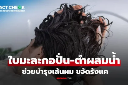 ข่าวปลอม ใบมะละกอปั่นชโลมศีรษะ ไม่ช่วยบำรุงผมหรือขจัดรังแค ตามการยืนยันจากแพทย์