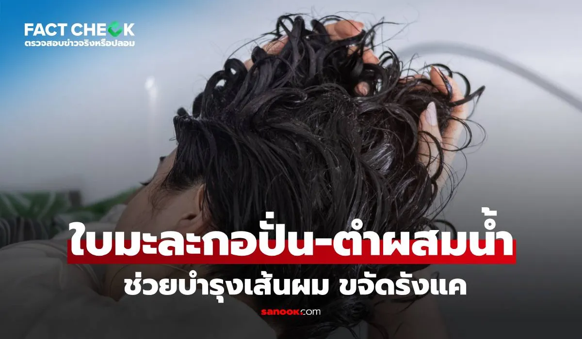 ข่าวปลอม ใบมะละกอปั่นชโลมศีรษะ ไม่ช่วยบำรุงผมหรือขจัดรังแค ตามการยืนยันจากแพทย์